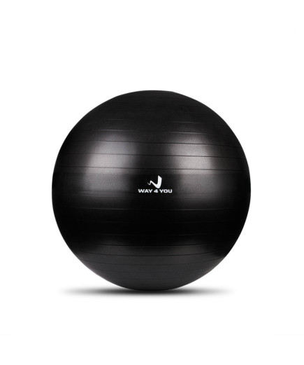 М'яч для Фітнесу (Фітбол) 65см (black)