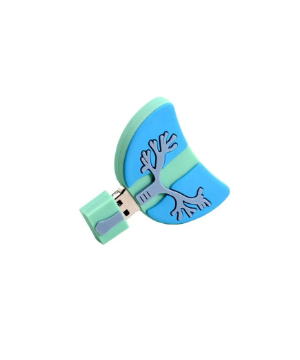 USB-флешка Легкі на 32 Гб