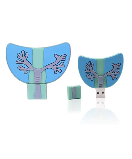 USB-флешка Легкі на 32 Гб